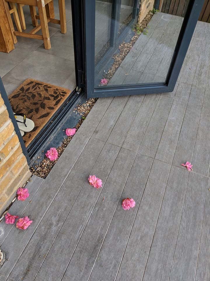 Flores en la terraza