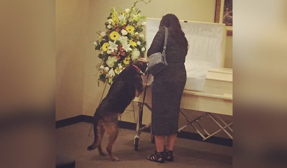 Funeraria permite visita de perro para despedirse