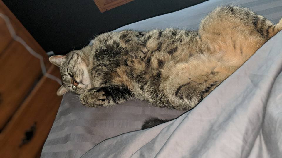 Mo dormido Mo dormido