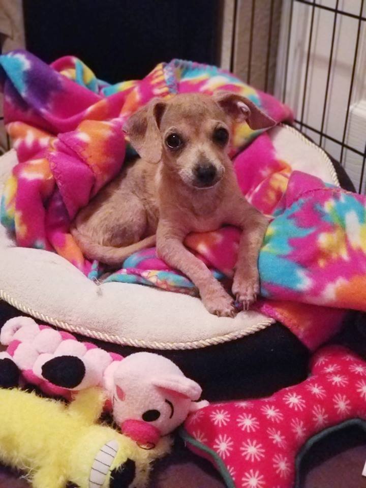 Najila en recuperación Najila en recuperación