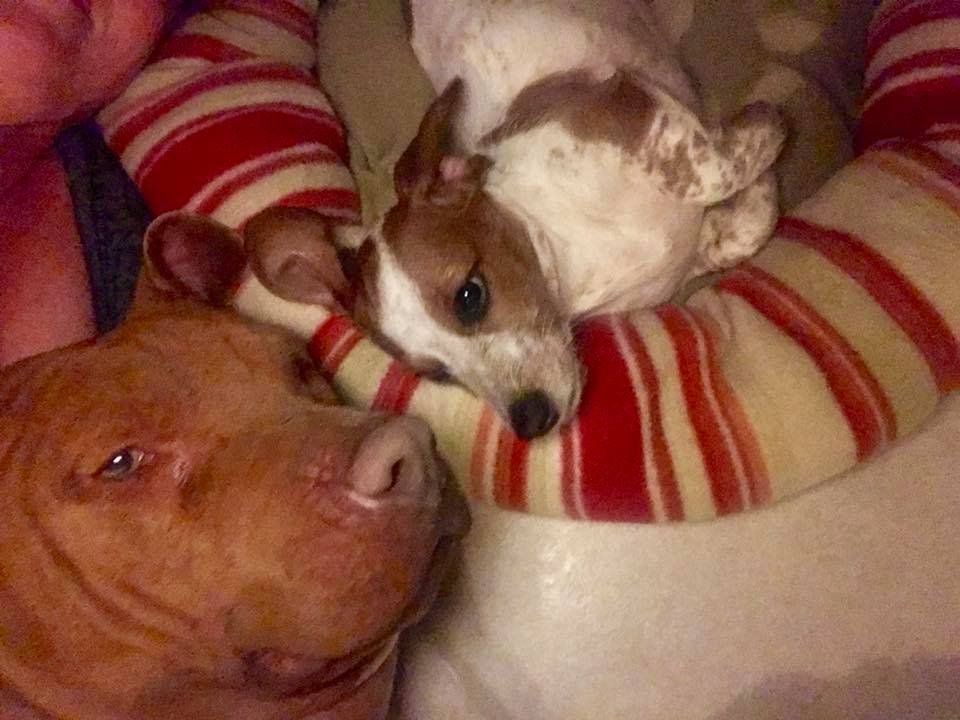 Neno y su hermano