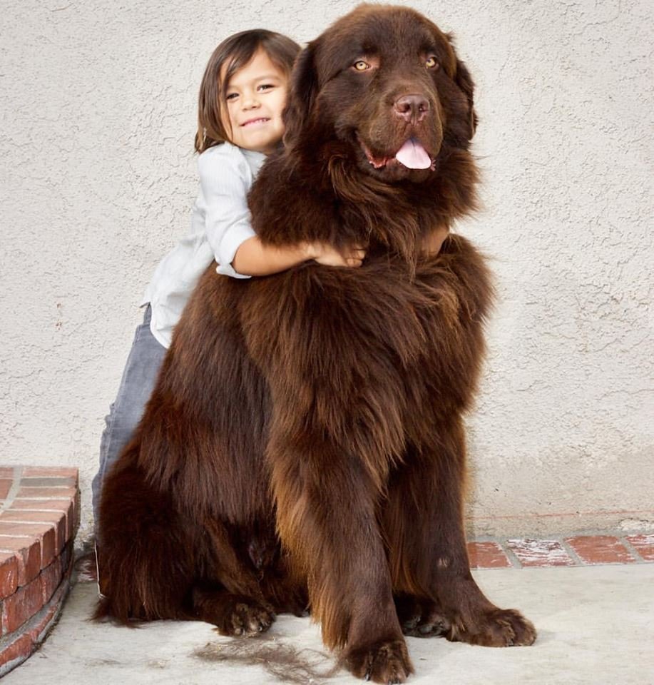 Ralphie y su hermano