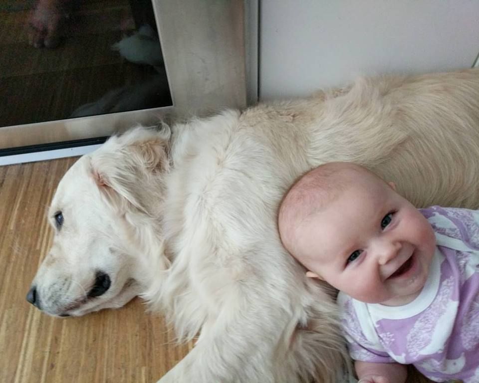 Bebé y perro