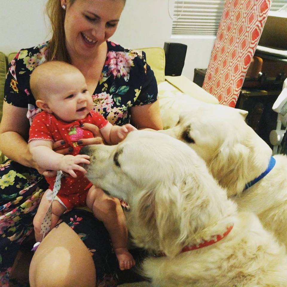 Chloe y sus perros