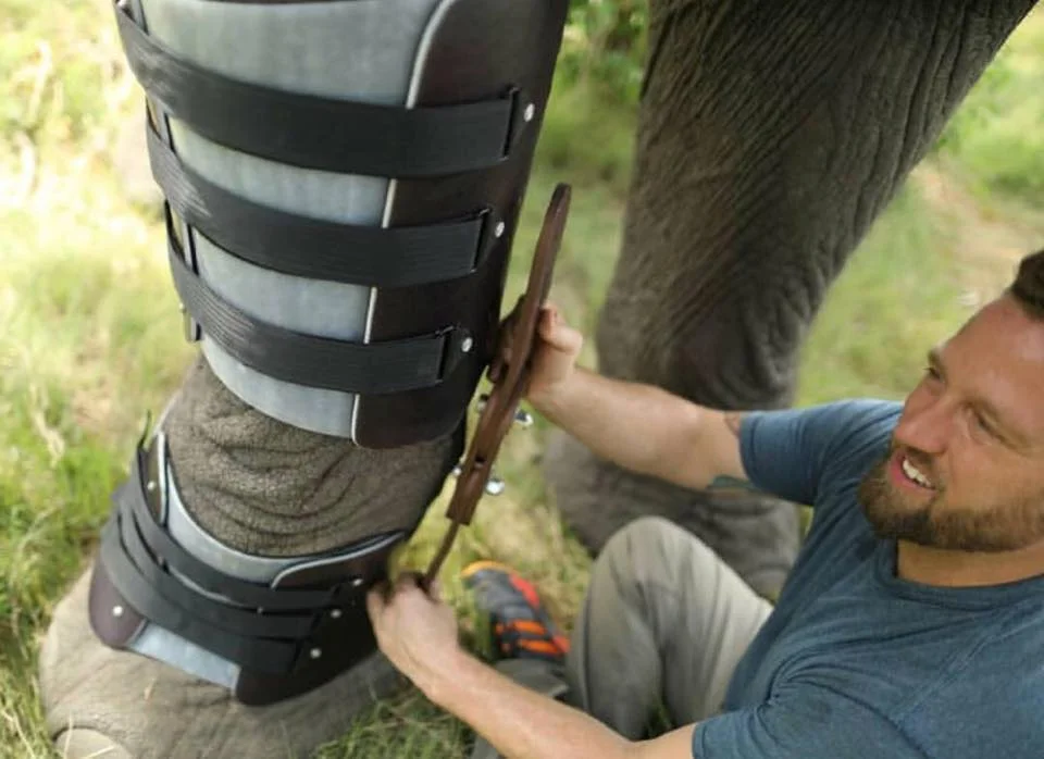 Derrick y un elefante