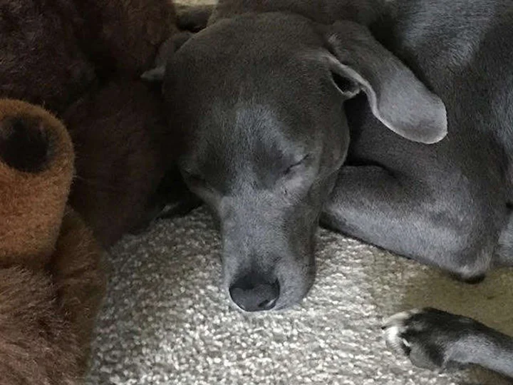 Ellie