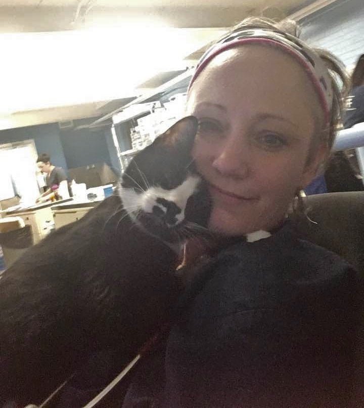 Gato abraza en el refugio