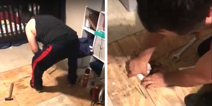 Hombre rompe el piso para salvar a un gatito a punto de ahogarse 1 Hombre rompe el piso para salvar a un gato