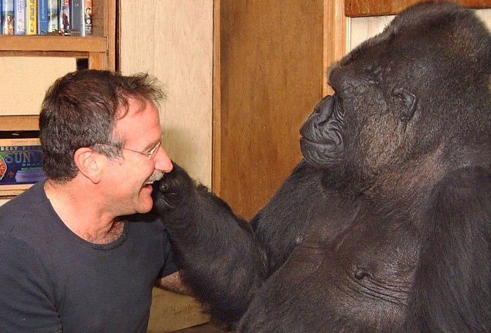 Koko y Robin Williams Koko y Robin Williams