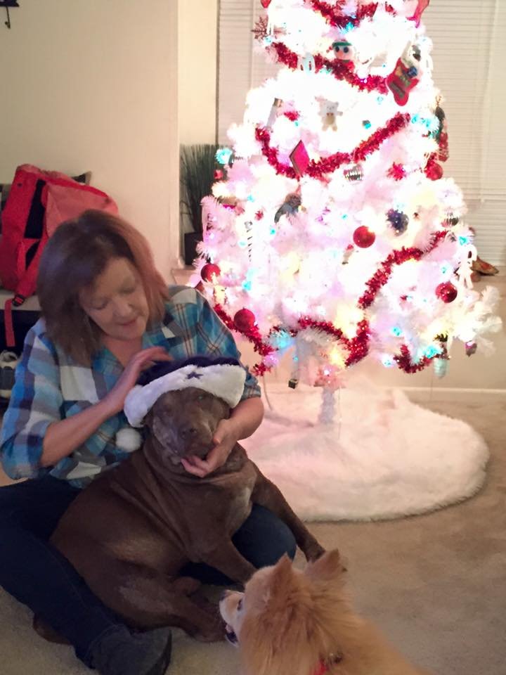 Norman celebra navidad