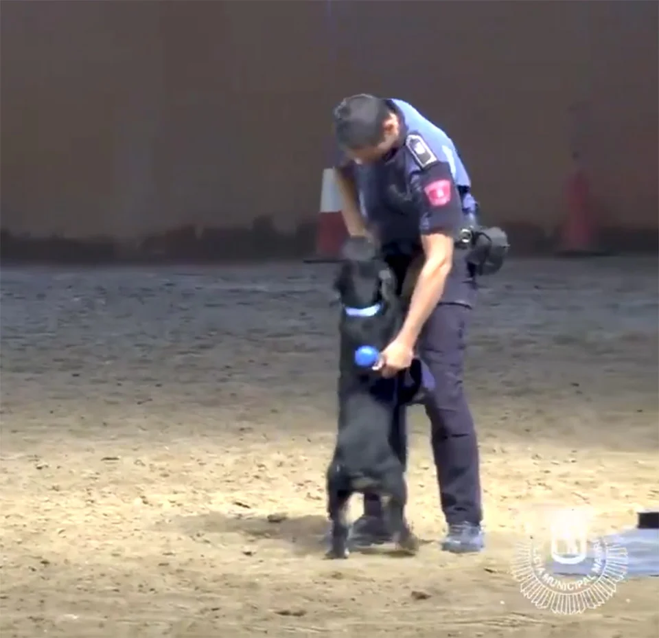 Poncho se alegra de salvar al oficial