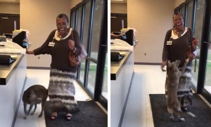 Perro perdido no puede creer que está viendo a mamá otra vez