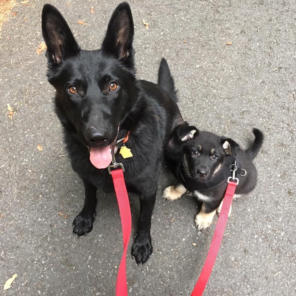 Salma y Valentino