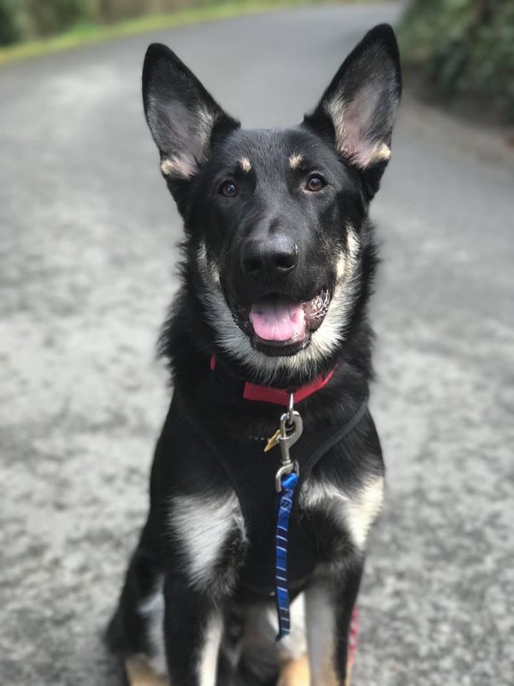 Tino