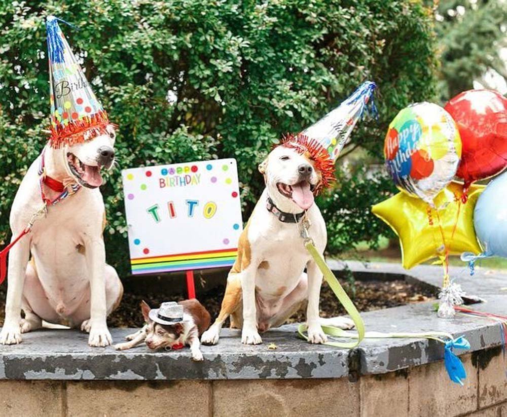 Los gemelos y Tito 16 años