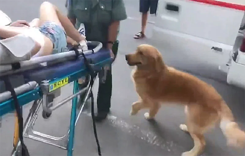 Mujer se desmaya en la calle