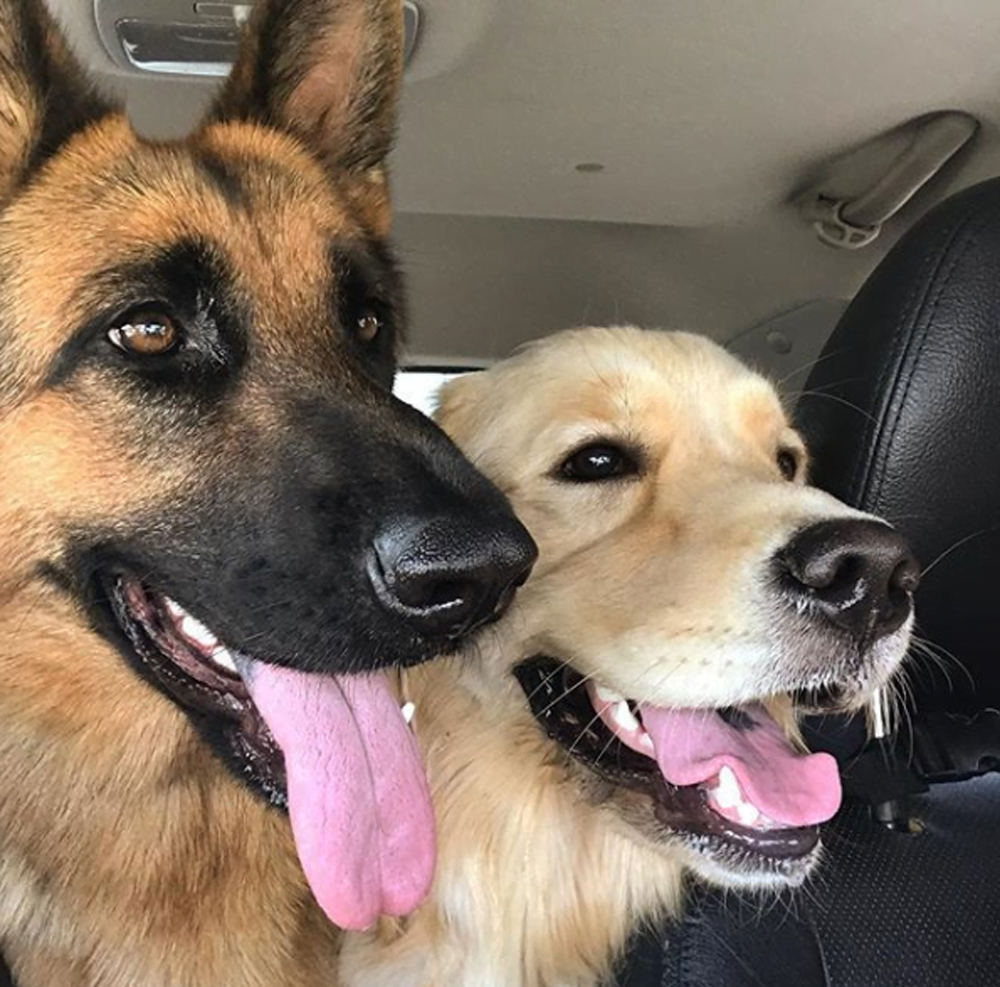Ryker y Bailey Ryker y Bailey