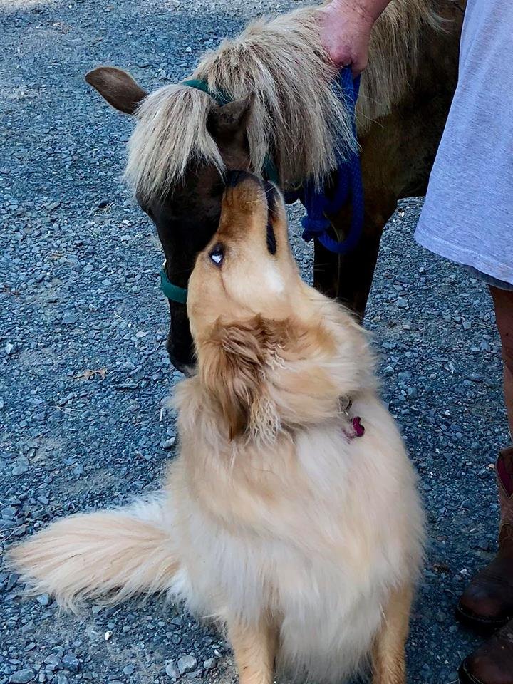 Sammie y Molly