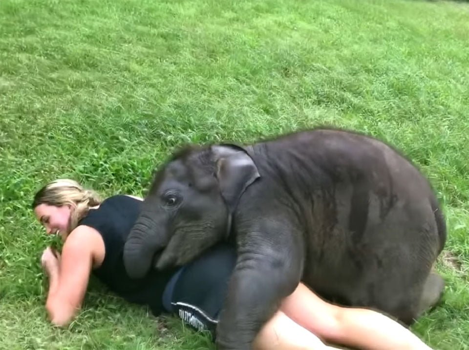 Suki abraza a turistas