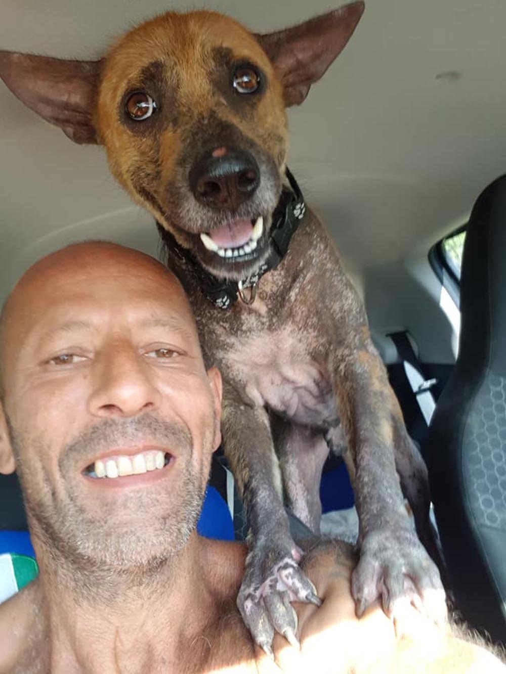 Perro que tenía miedo de ser tocado no quiere alejarse ahora de su rescatista 12 Aka ama a chour