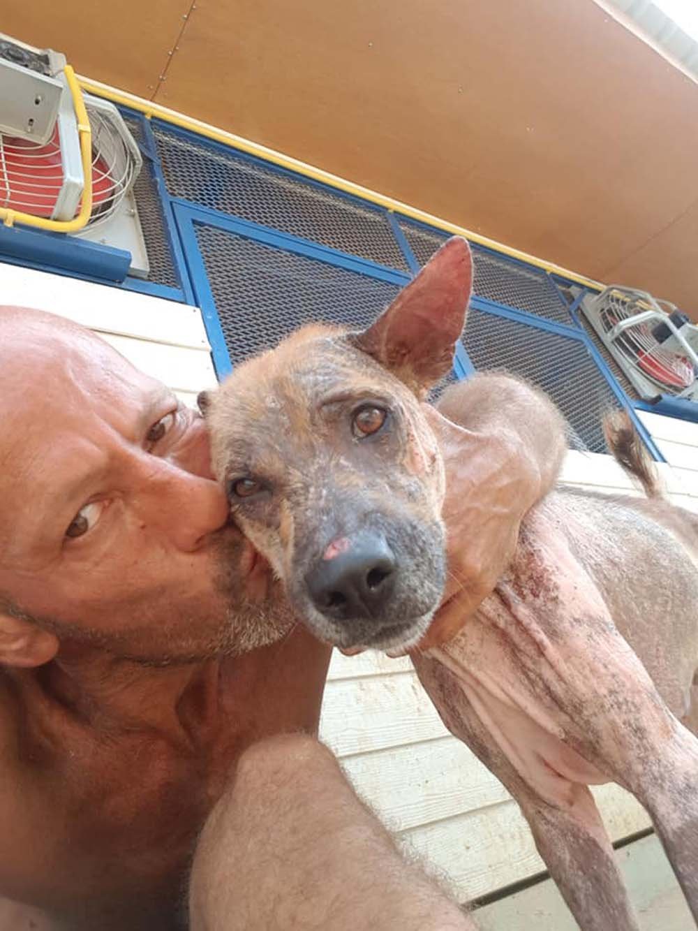 Perro que tenía miedo de ser tocado no quiere alejarse ahora de su rescatista 10 Aka y Chour