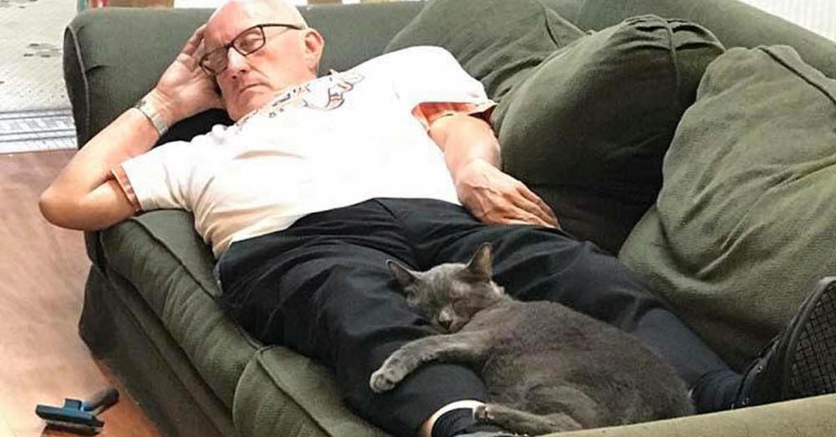 Anciano voluntario siempre termina durmiendo con los gatitos del refugio