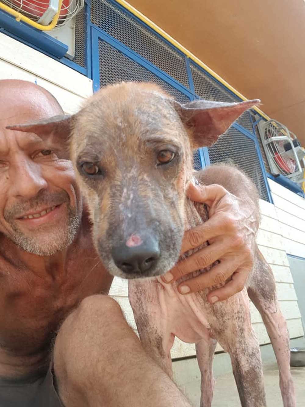 Perro que tenía miedo de ser tocado no quiere alejarse ahora de su rescatista 9 Chour y Aka