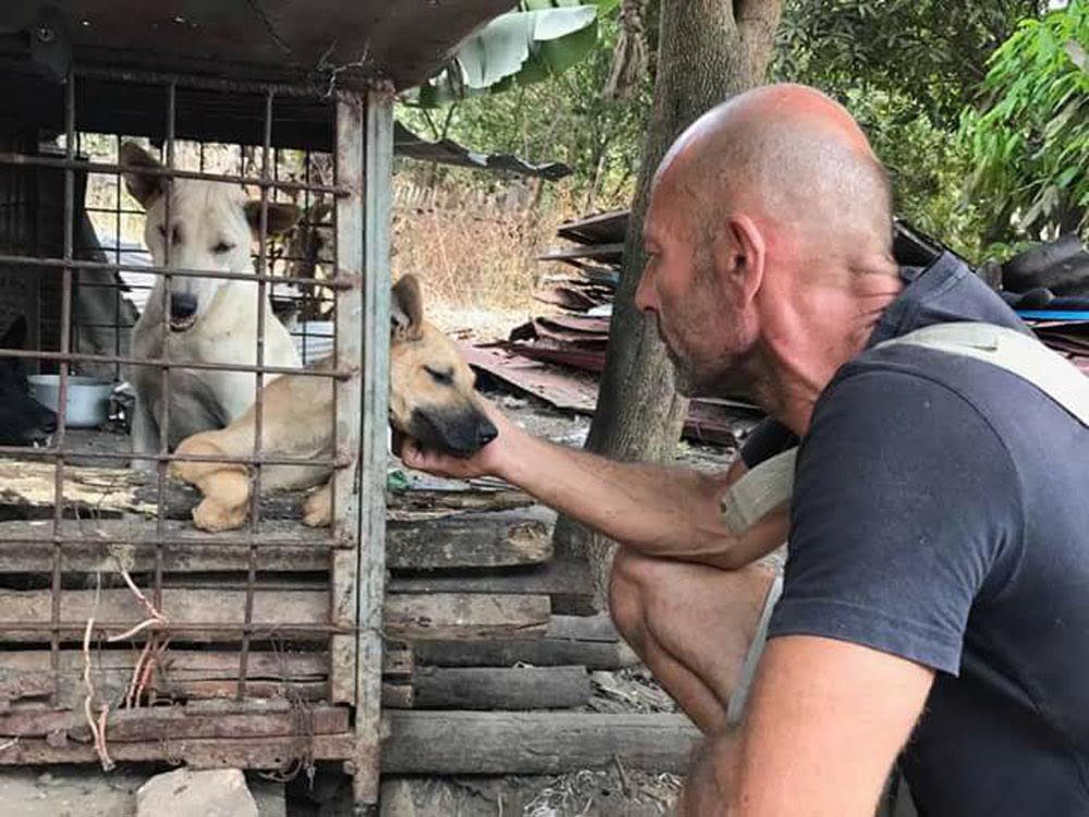 Perrita rescatada está tan agradecida que no deja de aferrarse a su rescatista 9 Chour y Sanie