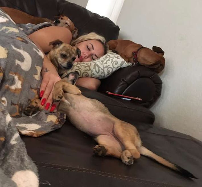 Dava y sus perros Dava y sus perros