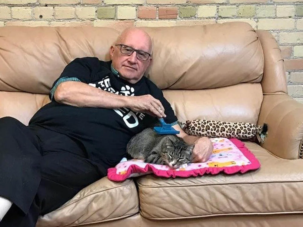 El abuelo gato