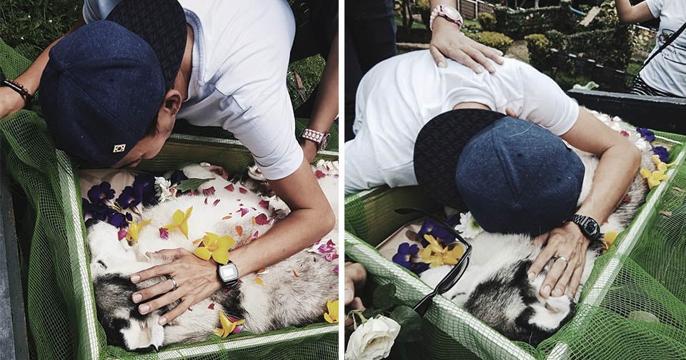 Joven se despide de su amado perro