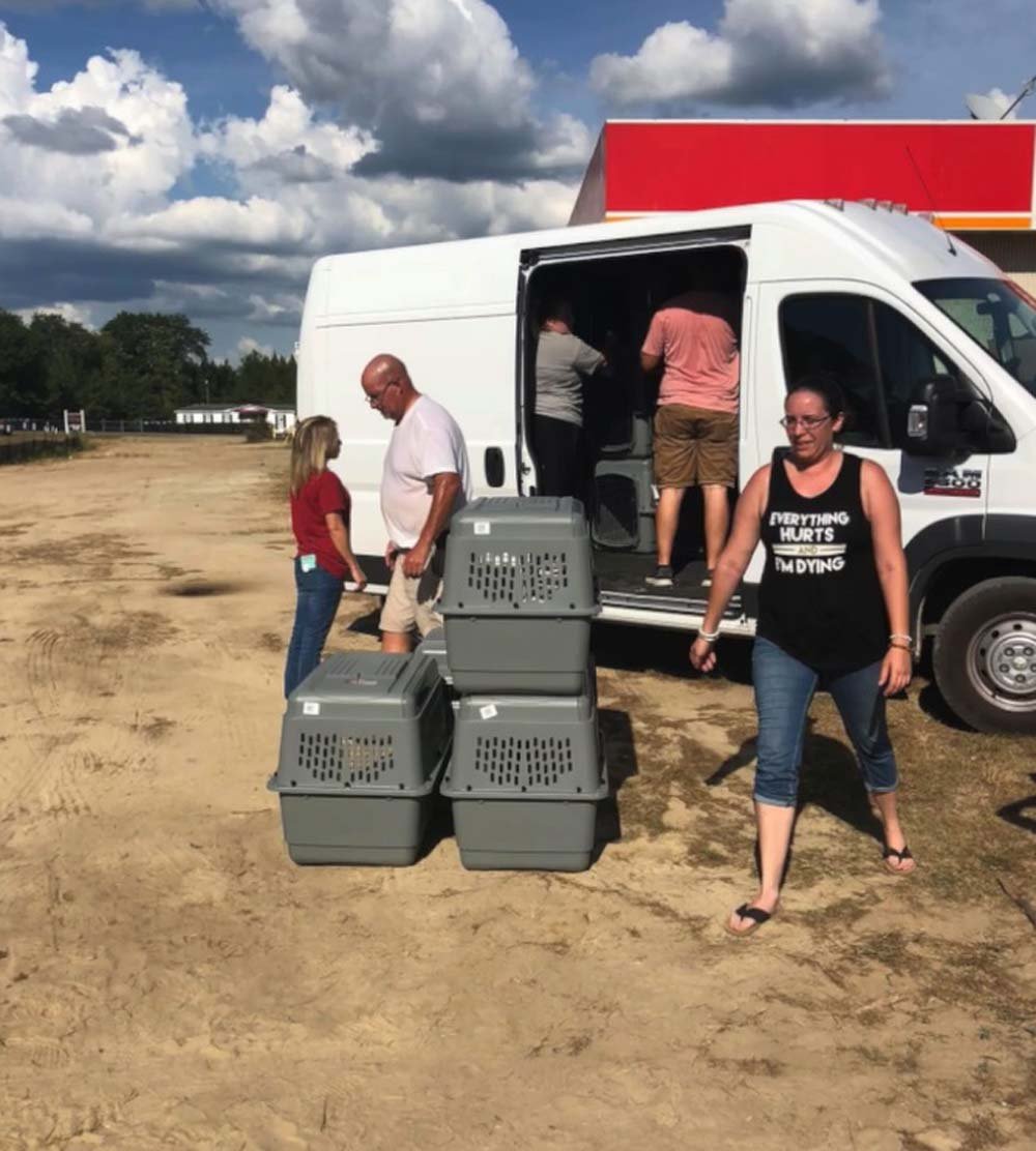 Van que transportaba a mas de 50 animales que huían del huracán se averió en el peor momento 5 Lucky Dog Animal Rescue