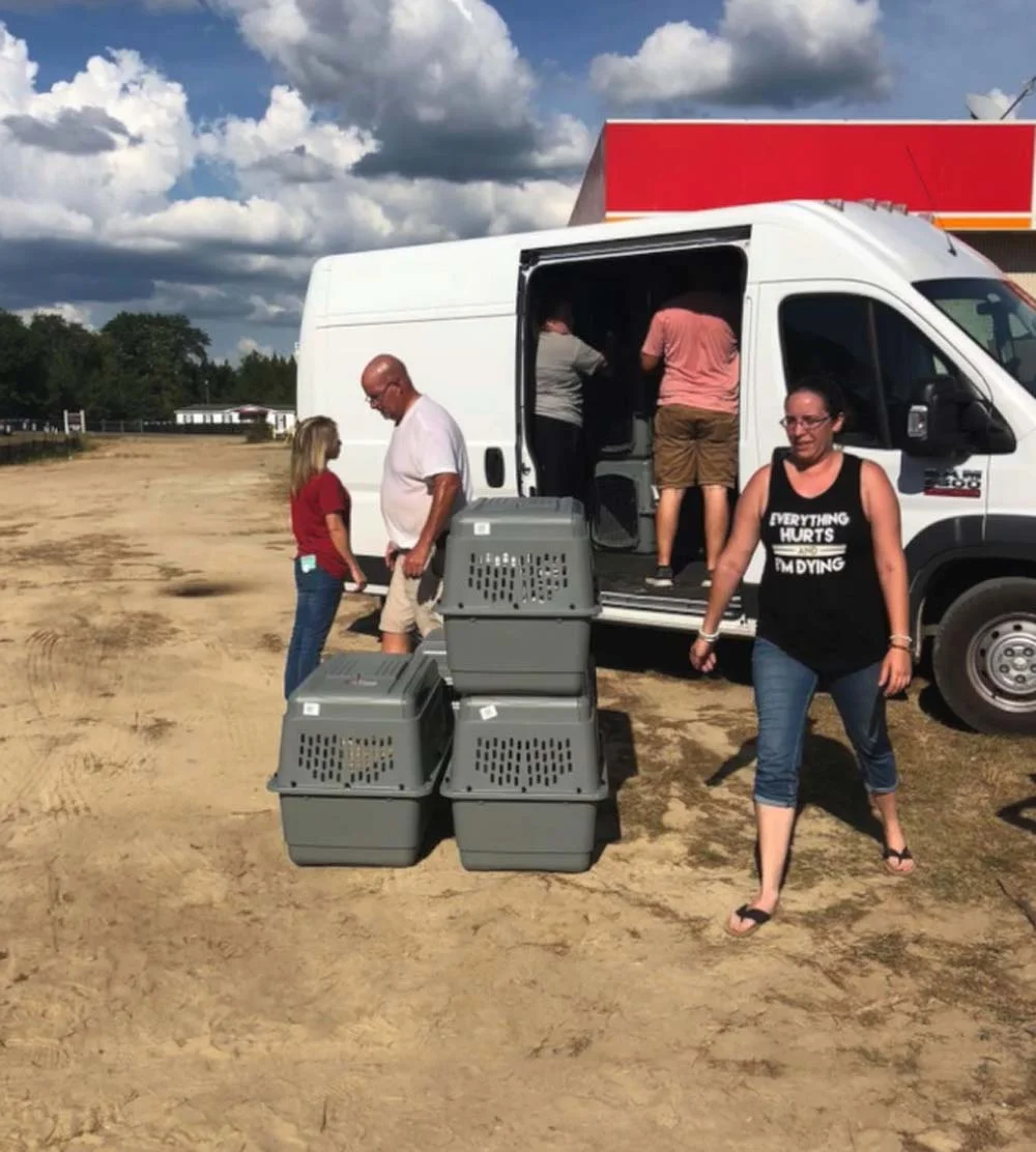 Van que transportaba a mas de 50 animales que huían del huracán se averió en el peor momento 5 Lucky Dog Animal Rescue
