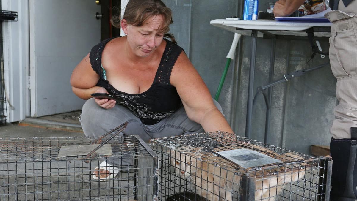 Mujer arrestada después de salvar 27 animales del huracán