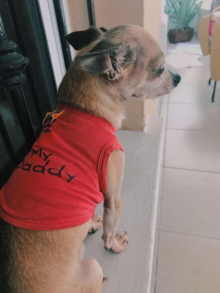 Paquito Paquito