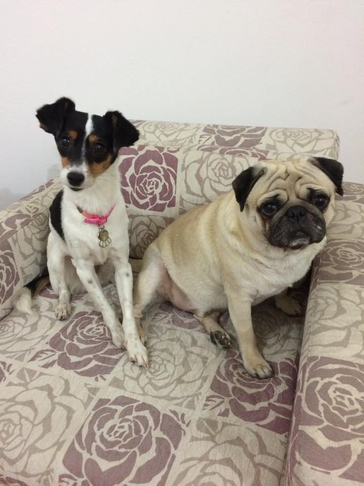 Penelope y su hermano Penelope y su hermano
