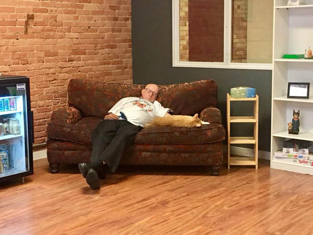 terry y un gato