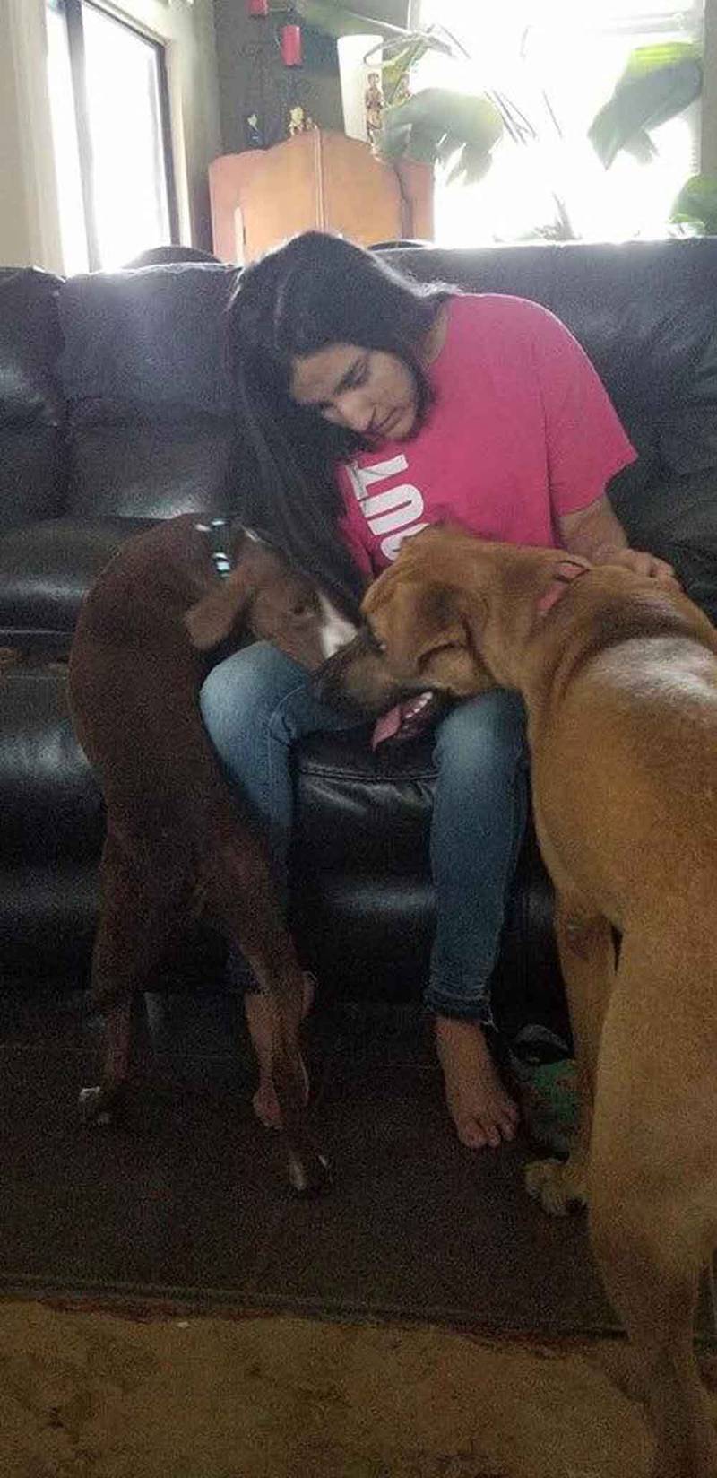 Perro se arrastra hacia sus rescatistas pidiendo ayuda con una cadena de dos libras en su cuello 7 Ángel