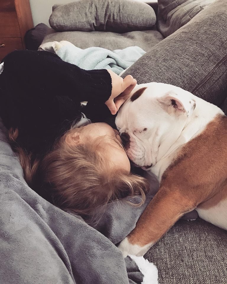 Bulldog con niña