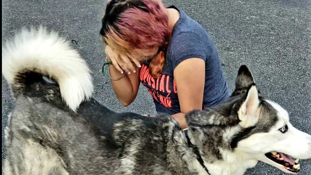 Mujer sobreviviente de cáncer no creyó que volvería a ver a su perro después de 2 años 8 Emotivo reencuentro