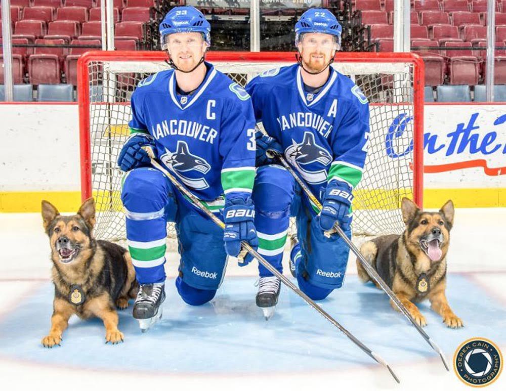 La unidad canina de la policía de Vancouver creó este increíble calendario benéfico para el 2019 29 Foto del calendario 2015
