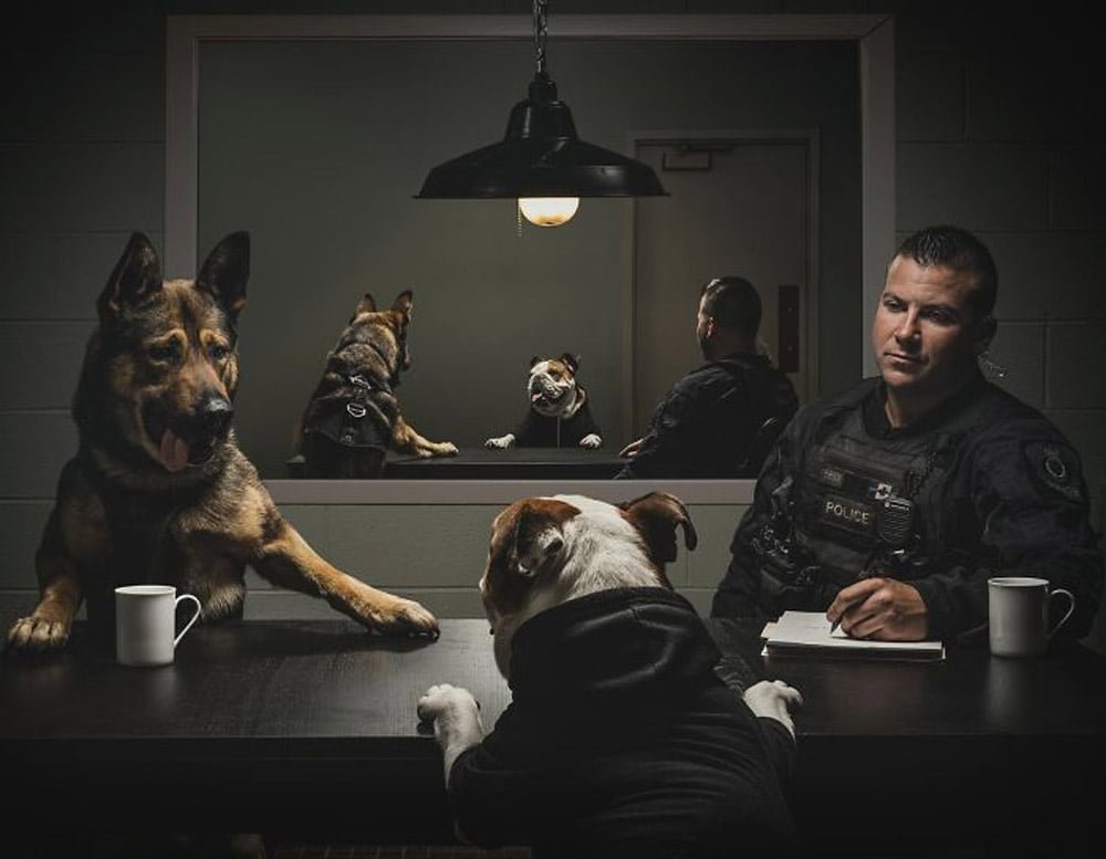 La unidad canina de la policía de Vancouver creó este increíble calendario benéfico para el 2019 19 Foto del calendario