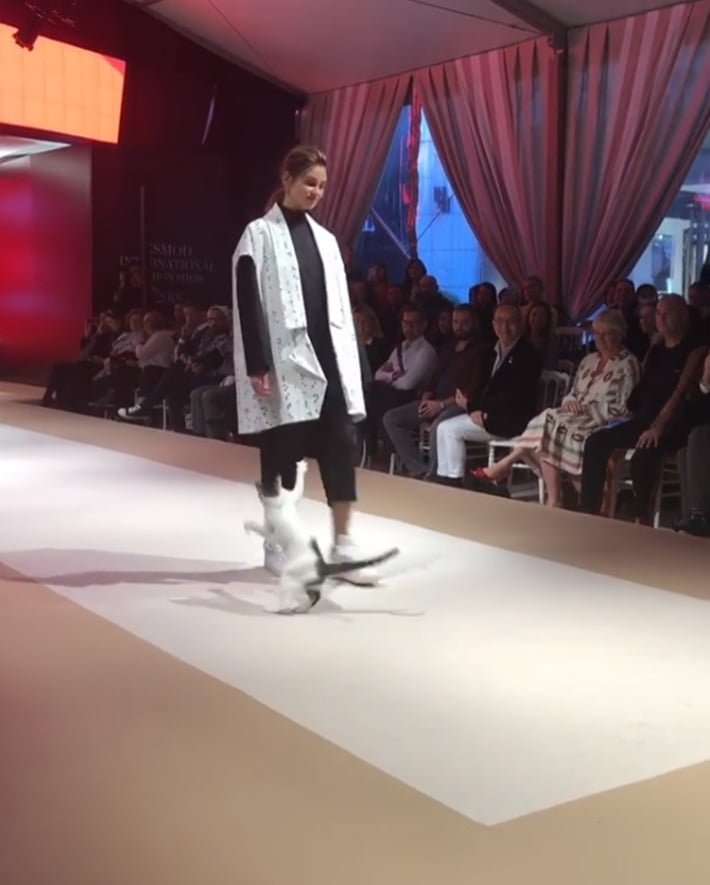 Gato en desfile