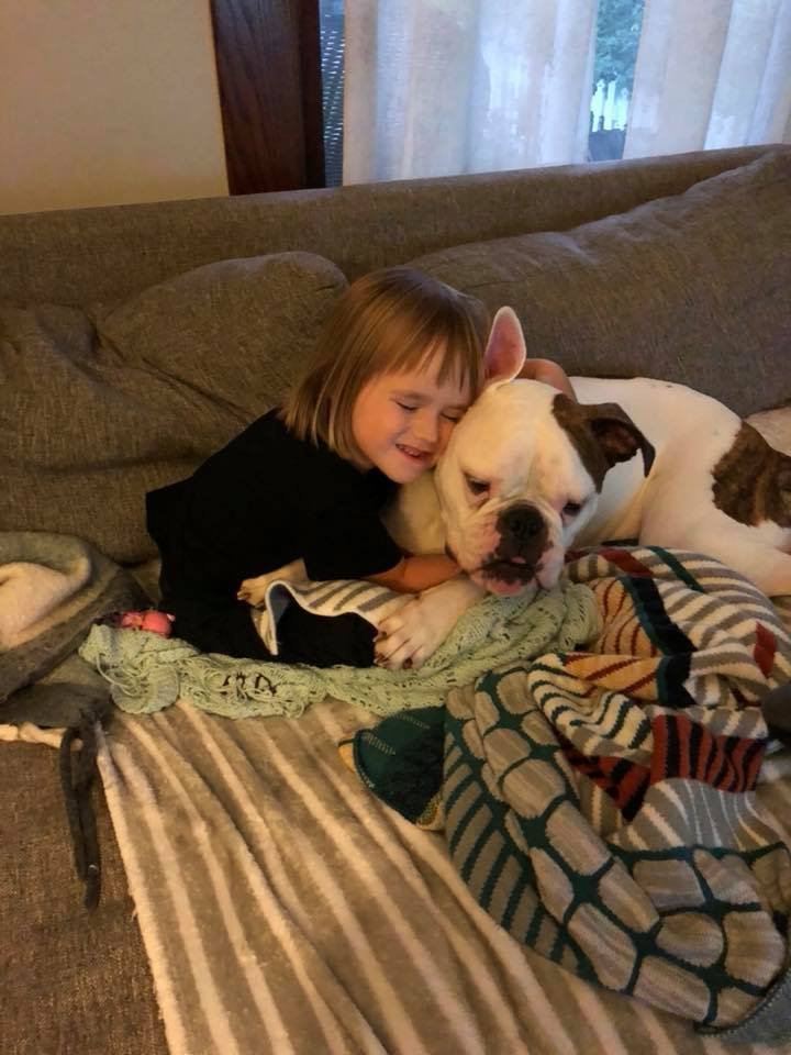 June y bulldog