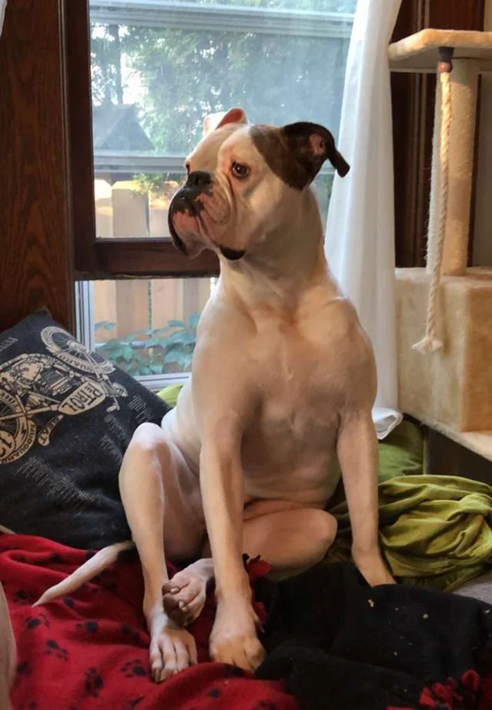 Juno Juno