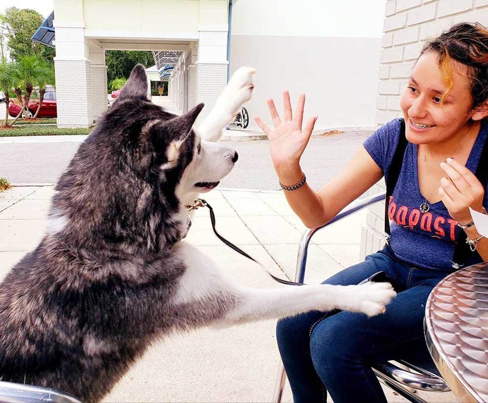 Mujer sobreviviente de cáncer no creyó que volvería a ver a su perro después de 2 años 11 Juntos por siempre