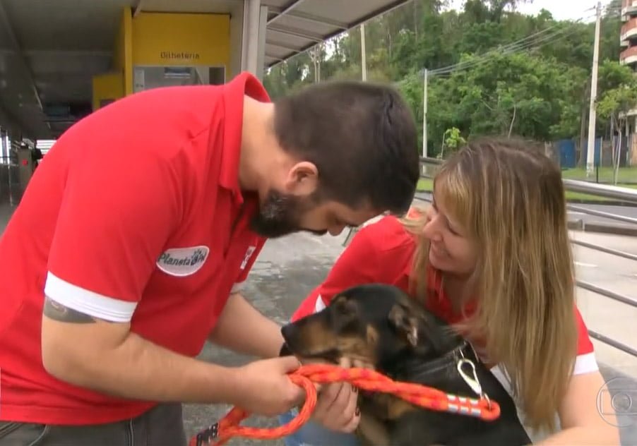 Perrito rescatado