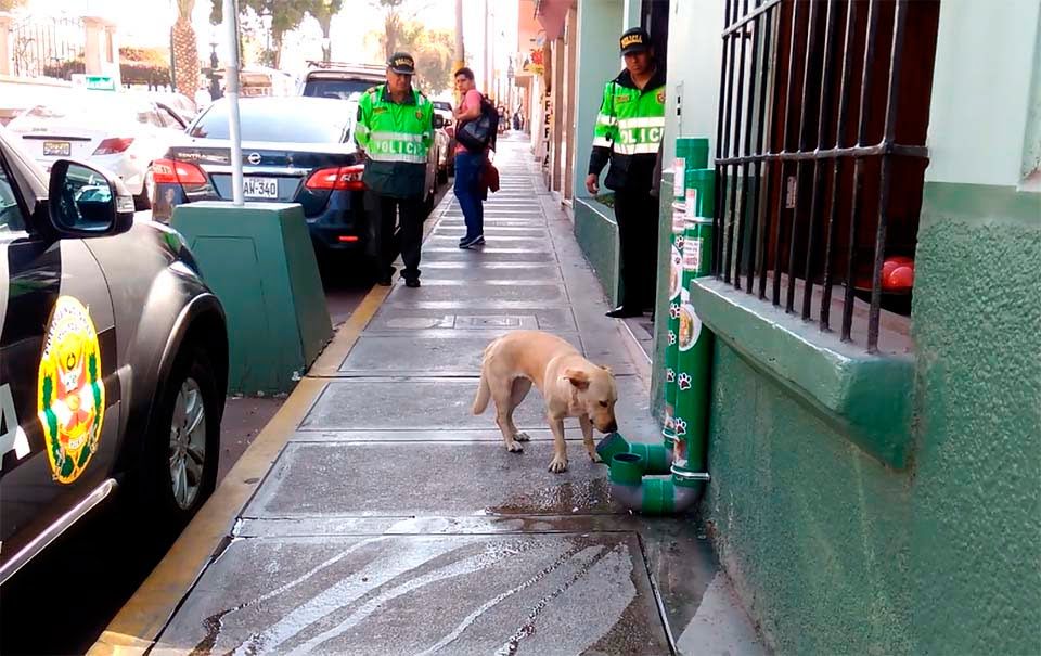 Policías instalan dispensadores para alimentar perros
