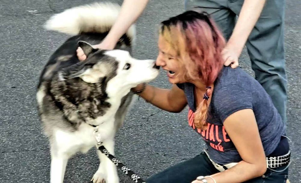Mujer sobreviviente de cáncer no creyó que volvería a ver a su perro después de 2 años 7 Semper y Mares
