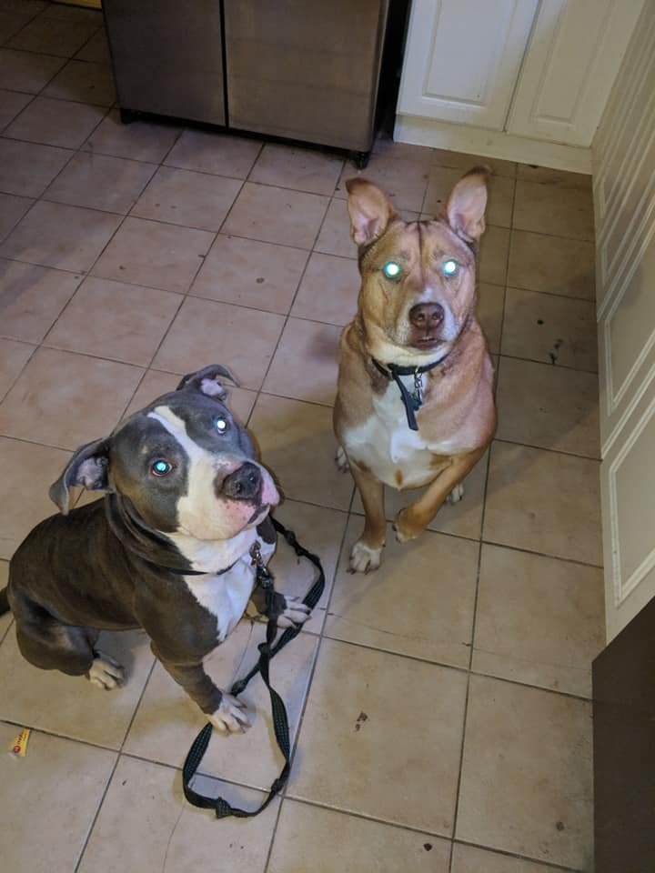 Stormy y su amigo Stormy y su amigo